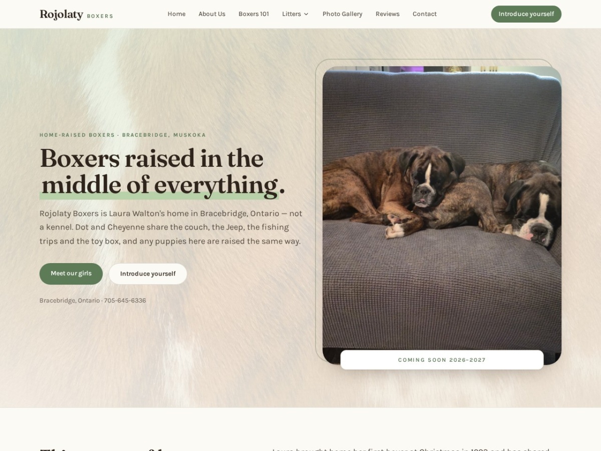 Rojolaty Boxers website screenshot